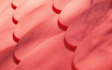 Whorlton plastic roof costs