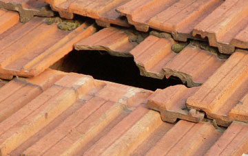 roof repair Whorlton